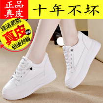 Yerkang Kangnai red long leather leather womens shoes 2021 Autumn New Korean version of small white shoes female Korean female