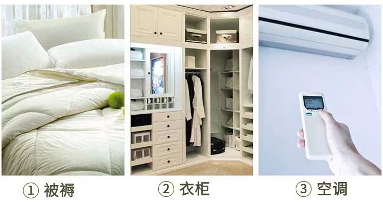 bình xịt muỗi xịn Để cào cào đồ vật ngoài mạt phun mạt giường miễn phí trừ mạt giường khử trùng chó - Thuốc diệt côn trùng bình xịt muỗi trung quốc