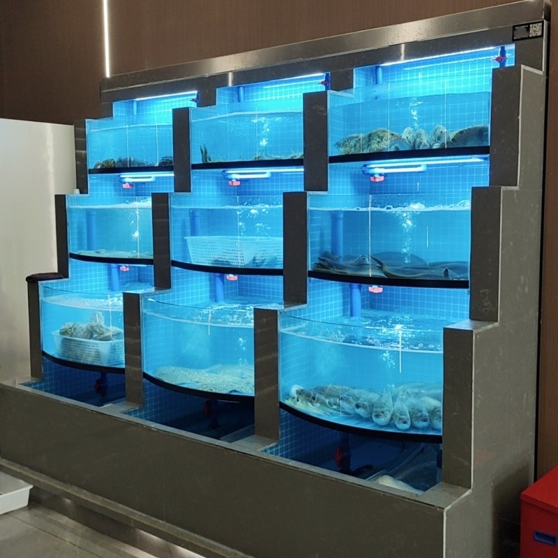 Seafood fish tank commercial fixed glass seawater tank to create a ...