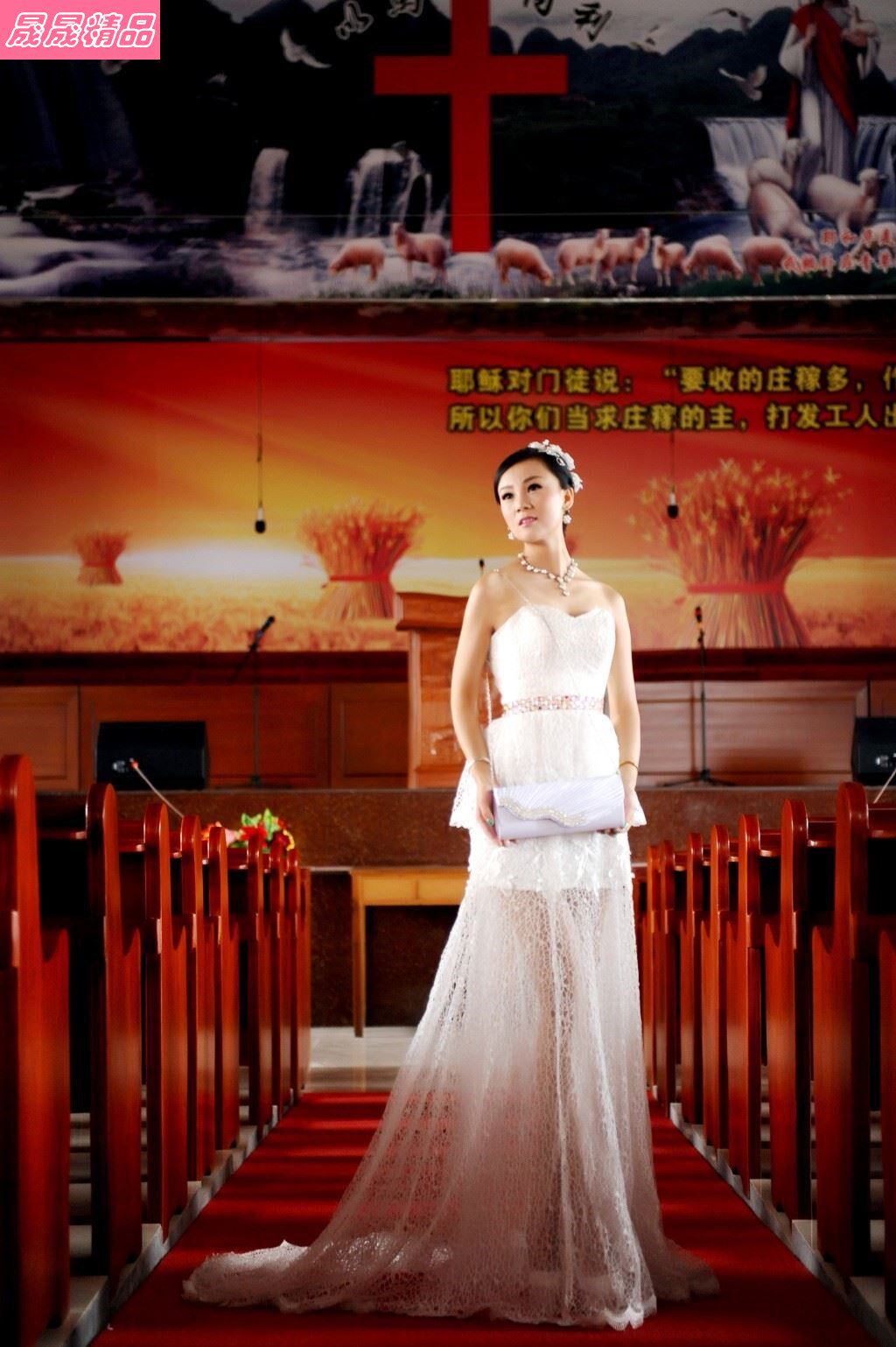 Вечерние свадебные сумки водяной сумочка для вечеринки клубная сумка для сцепления сумки OTHER / Other 