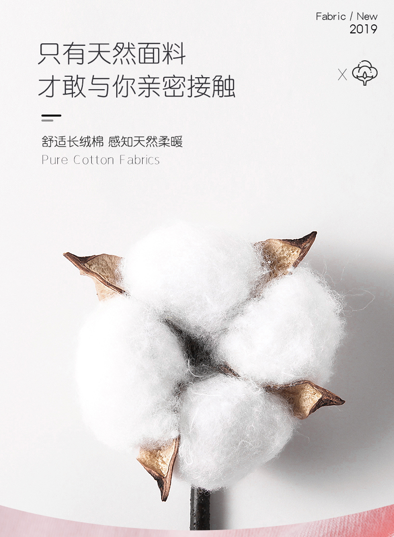 冰洁  女士纯棉高腰抗菌内裤 4条 图4