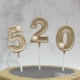 Шампанское золото 520