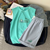 BX2104 Lake Blue+DK213 светло -синий