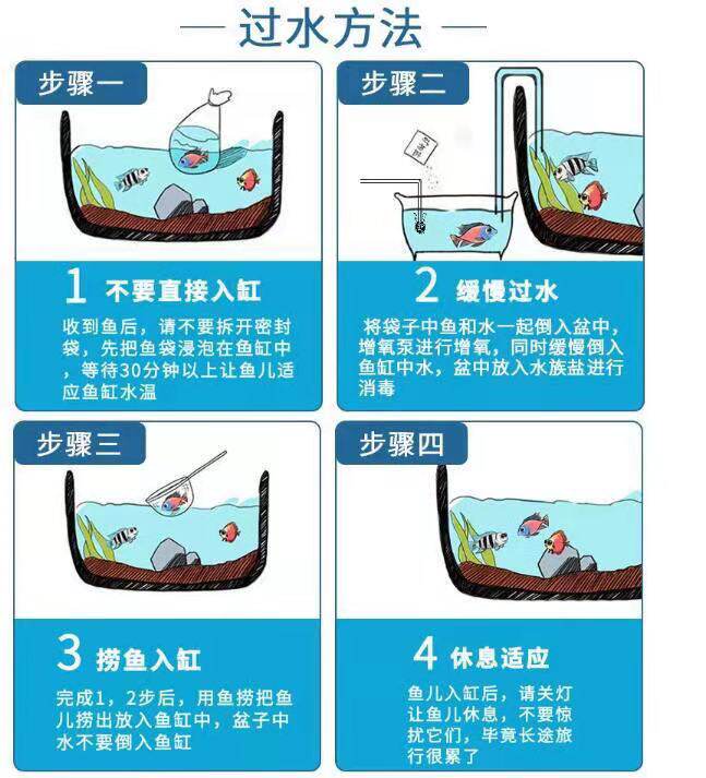 Live-dedicated selfie not valid before shooting, contact anchor-Taobao