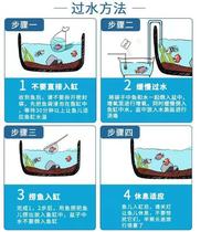 Live-dedicated selfies before the invalid pat on the main cast.