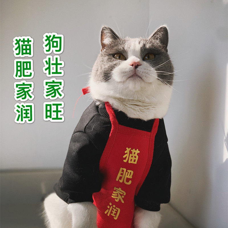 Pet Apron Cat Fat Dog Fan Yuzhuang Kitten Kitty Dog Clothes Warm Belly Festival of New Year's Winter