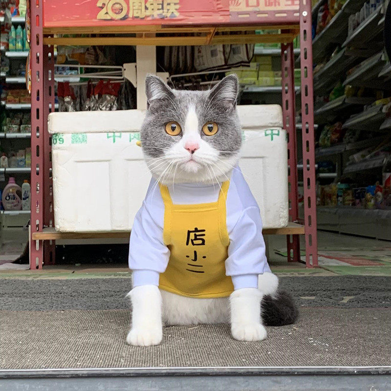 Pet cat dog apron belly pocket small two text can be customized