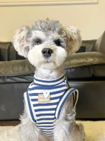 Синяя и белая рукавица полоски