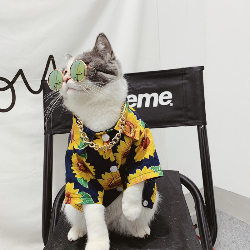 Pet cat dog clothes tide sunflower shirts blue and white English short Teddy Shenner Fa Spring and Autumn Fall