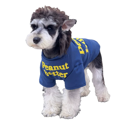 Домашняя кошка и одежда для собак лето чистое хлопок спрятало синюю английскую футболку в помещении.