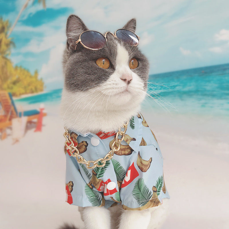 Pet cat dog clothing tide tag custom spring and autumn beach Hawaiian style shirt T