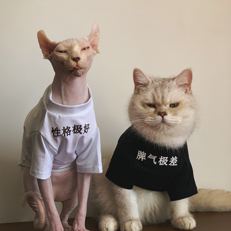 Pet cat dog clothes spring and summer pure cotton small dog jacket large dog personality text paternity clothing