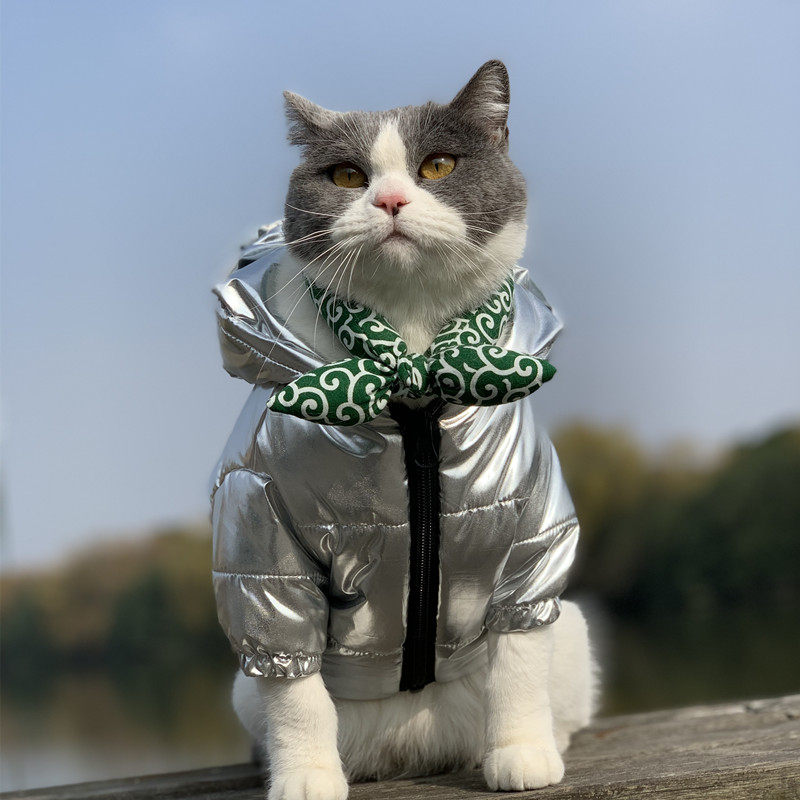 Pet clothecat dog heat resistant to dirty without sticky hair for years to thicken cotton cotton cotton silver large dog gold hair winter