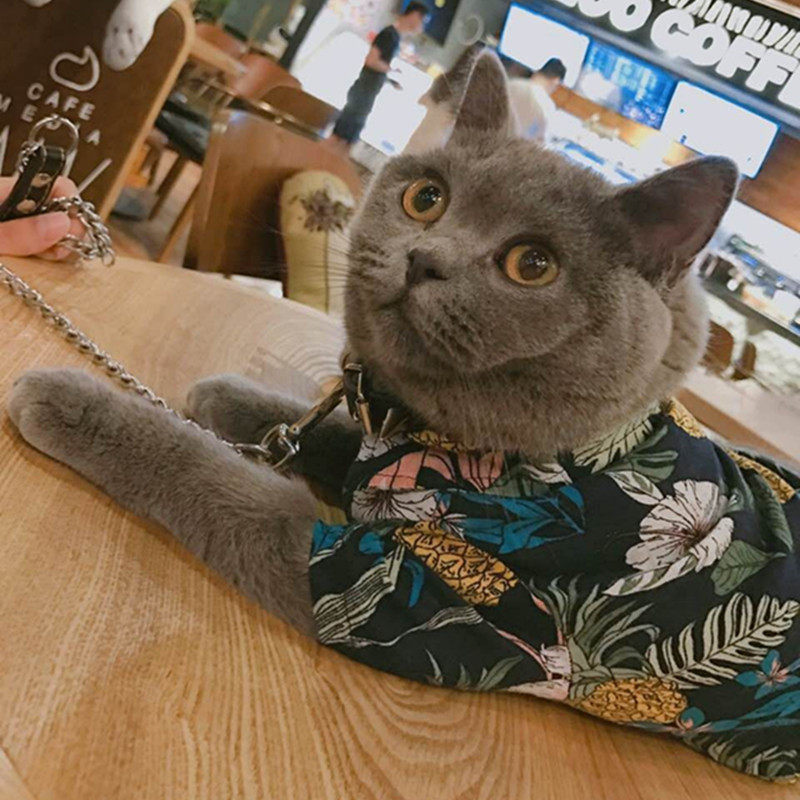 Pet Cat Dog Clothes Customized Summer Thin Teddy Bermy Snow Shirt Air Conditioning Clothing