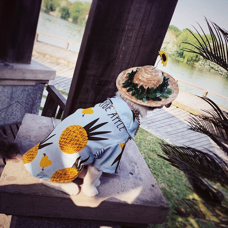 Pet cat dog clothes air conditioner air - conditioning cool summer thin beach style blue pineapple shirts
