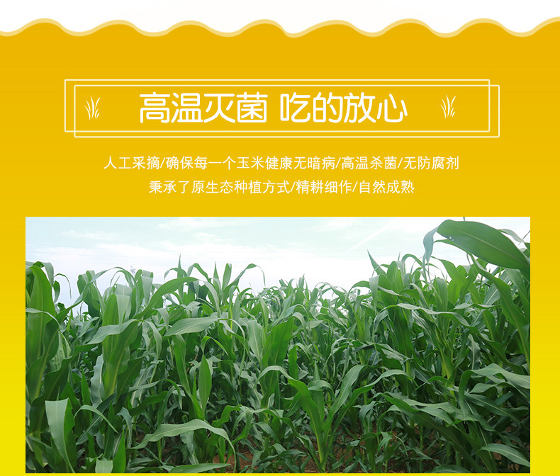 4 Huang 4 White 4 Black_Corn Defitals_2_05.jpg
