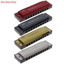 10 Holes Key of C Blues Harmonica Musical Educati