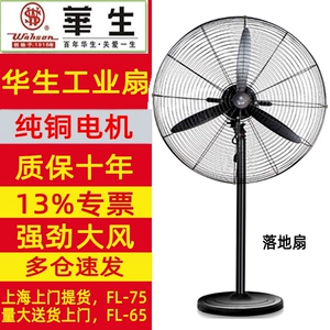 Huasheng Electric Fean