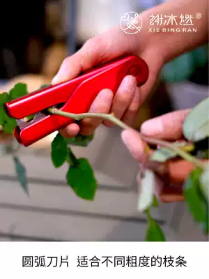 Prick pliers Rose prick pliers Plastic rose flower mud prick pliers to prick treasure clip household net red model