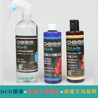 DCD+Rose Wakeflower+Rose Fresh Rose Devision