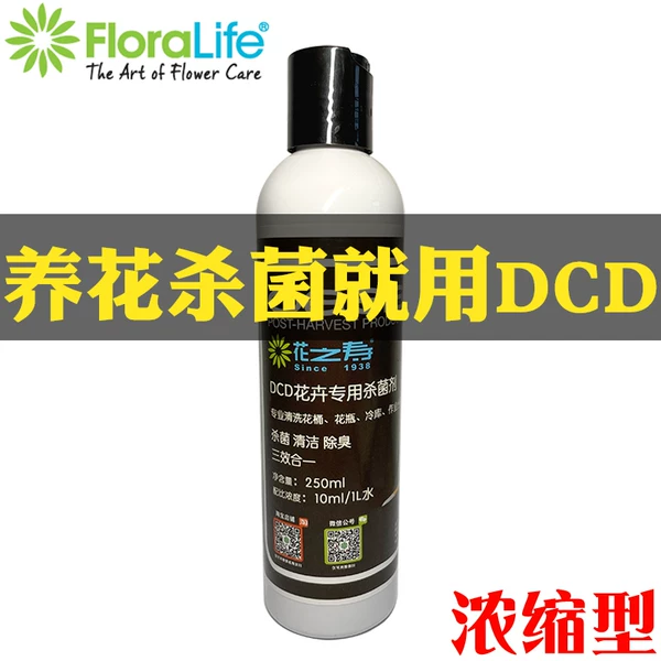 Товары от 专注鲜花保鲜