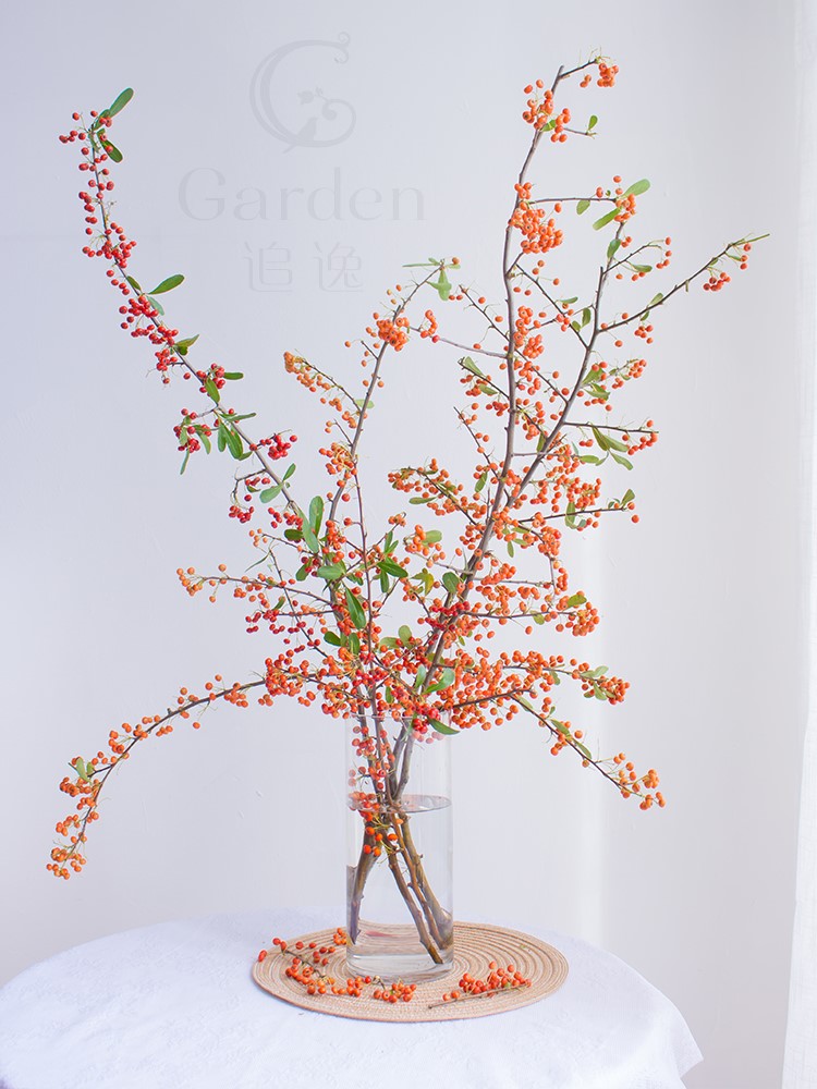 Homemade fire thorn fruit small fruit fresh chopped branches orange red bean flowers Heqing true florist with water for a flower arrangement friend's wedding-Taobao