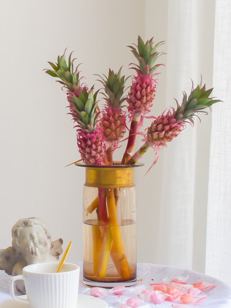 Holland imported mini small pineapple flower bouquet bottle insert pink toot flower potted flower potted flower good luck fresh cut flower
