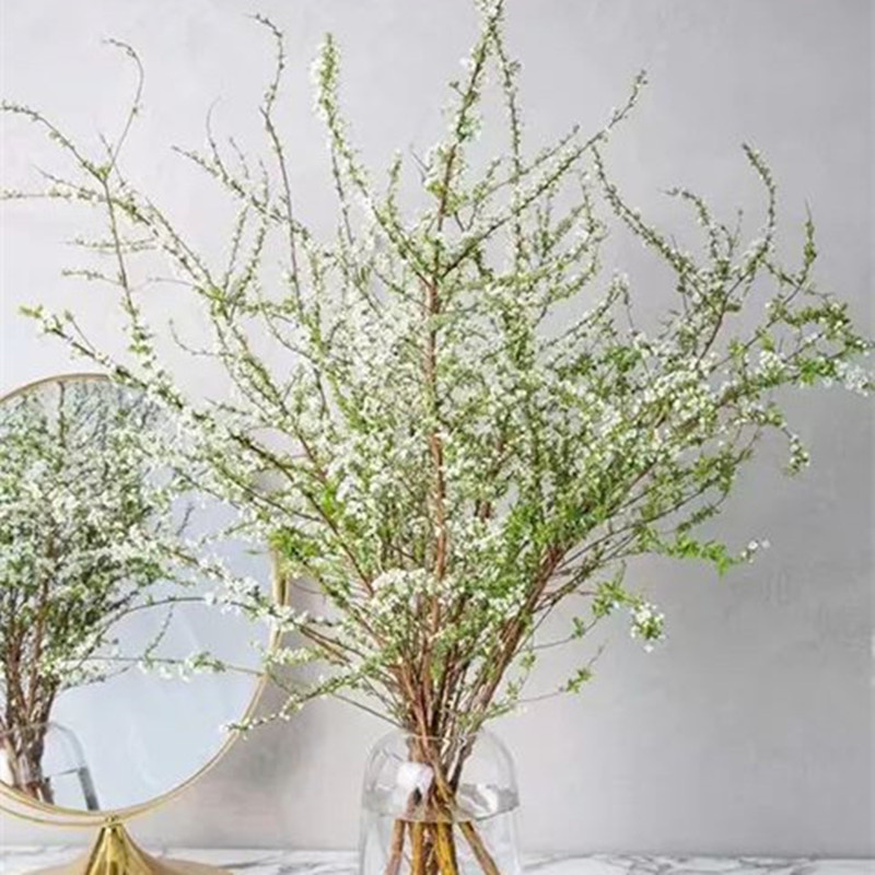 Snow Willow branches of dried tree seedlings fresh flowers spray flowers and flowers bouquets cut flowers cut flowers