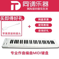 61 клавиша + оригинальный адаптер Apple