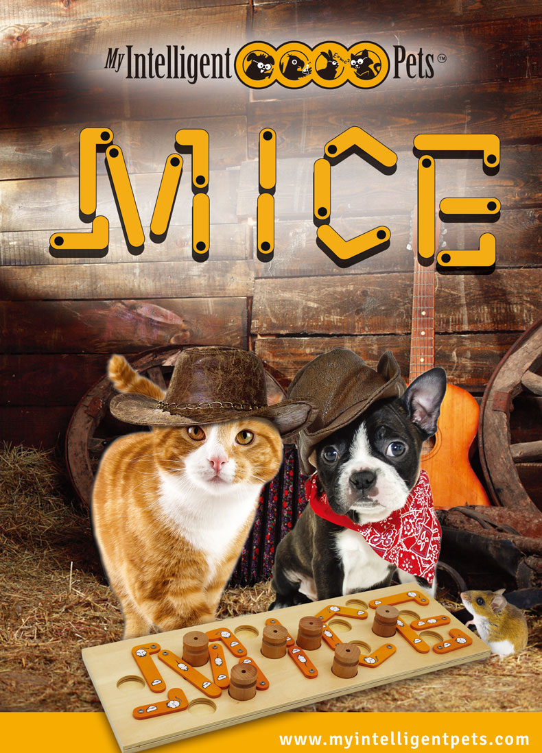 AdeHome Austria imports kitty puzzles puzzle puzzles toy owners to graduate from university, sniff game