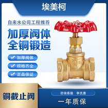 Aimeco globe valve brass thickened hard seal thread buckle connecting tap water household switch valve 4 minutes 6 minutes 15