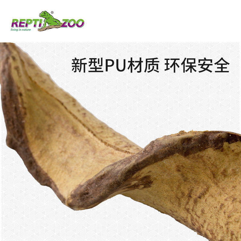 给爬宠打造理想家园？2026热门攀爬藤条树蛙睫角守宫蜥蜴造景秘籍