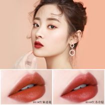 Bodybuilding creative research soft fog Misty lip glaze student matte lipstick mist moisturizing Velvet Lip honey
