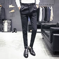 Quần nam chân mỏng quần mùa thu polyester miễn phí ủi quần âu phù hợp để gửi cá nhân dây vải đẹp mới quần vải nam