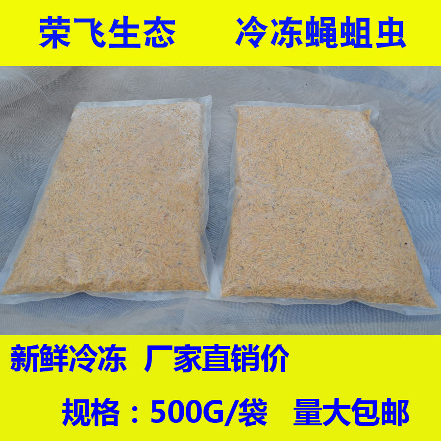 Frozen fly maggot frozen fresh maggot bait fish feed live bait open frozen turtle fish feed