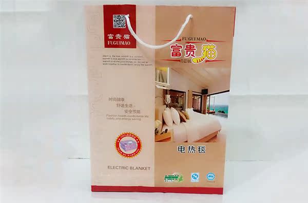 2018 in single mới Tăng dày chăn nệm điện nhiệt đơn chăn điện - Chăn điện chăn sưởi điện