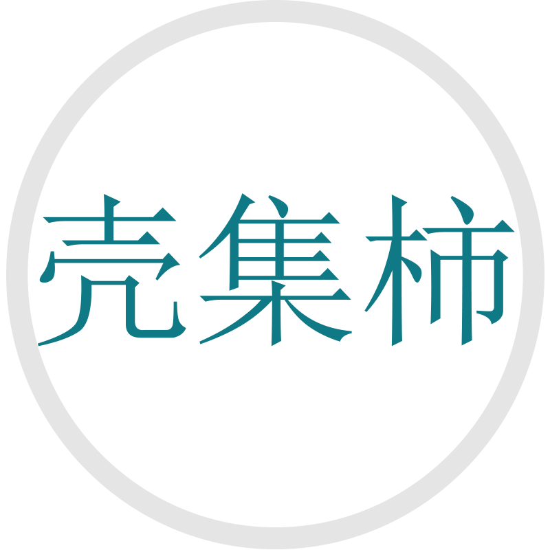 壳集柿手机壳的LOGO