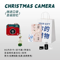 Ретро сумка, упаковка, подвеска, карта памяти, подарок на день рождения, 8G