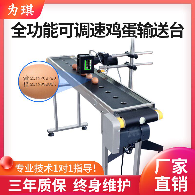 Fully automatic assembly line adjustable egg conveyor conveyor belt inkjet printer for production date pattern coding machine
