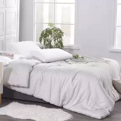 Class A antibacterial Roland Home Textile Cotton Cotton autumn and winter quilt quilt quilt core winter thick warm quilt double bed