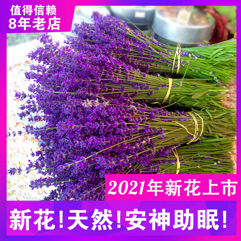 [USD 19.25] Lavender Bouquet Dried Flowers Living Room Home Décor Set Real Flower Illustration