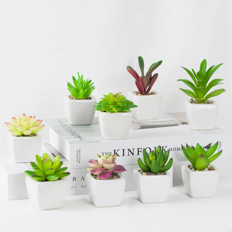 Simulation multi-meat plastic plant potted fake flower decoration simulation flower table swing piece bionic green plant multi-meat small bonsai-Taobao
