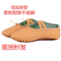 Camel ballet daughter child Chinese dance National dancer body Adult cat claw dance practice shoes Baby dance shoes