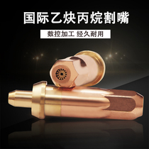 Ring plum acetylene G01-30 Propane flame cutting nozzle G07 Split propane gas hand cutting nozzle G03-100