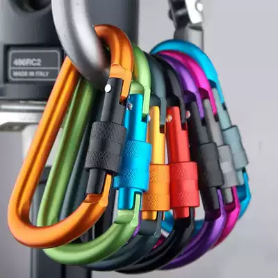 Aluminum alloy fast hanging mountaineering buckle lightweight outdoor pendant D-type with lock aluminum alloy mountaineering buckle