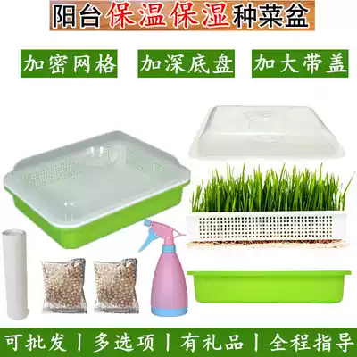 Raw bean sprouts household soilless planting vegetable artifact bean sprouts sprouting basin sprouts planting plate seedling vegetable planting equipment