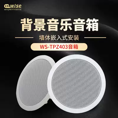 Walth 403 home background music system Ceiling audio embedded speaker speaker simple white edge design