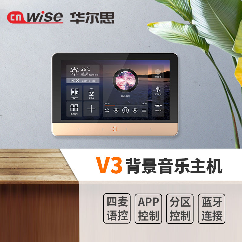 Walth V3 home background music host Smart home control system set Whole house ceiling audio Home