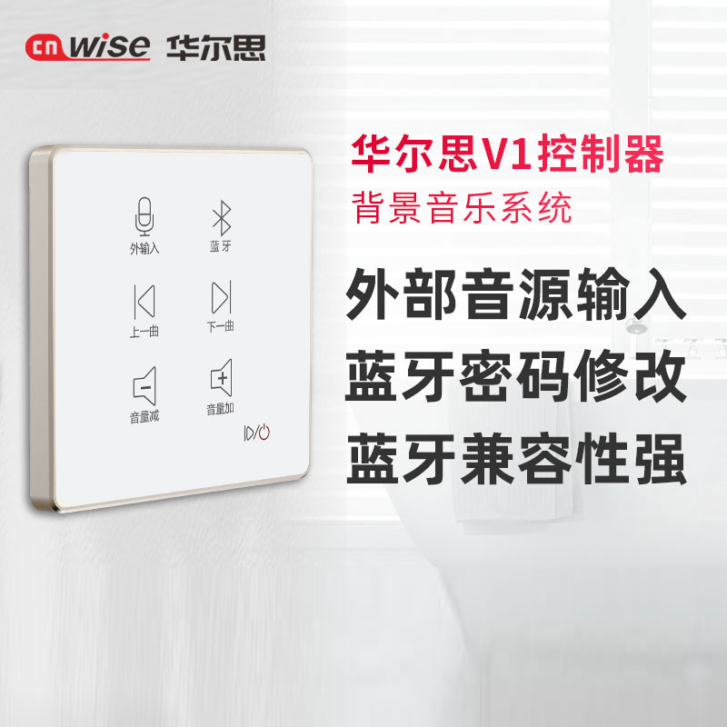 Walth V1 family hotel background music host Ceiling sound Smart home control system set