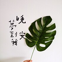 Nordic simple ins wind simulation plant coconut tree leaves photo photography background pendulum props decoration new product